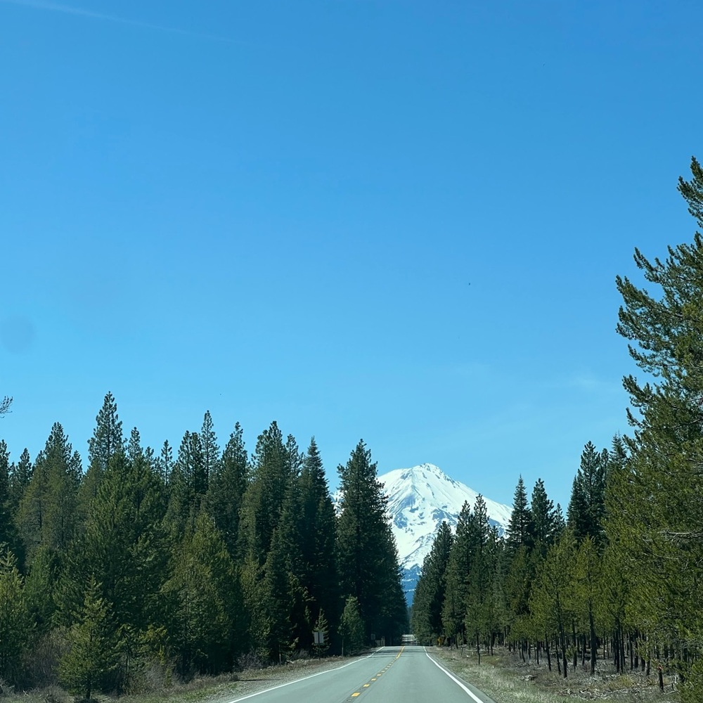 Meet your Posher, Delekris